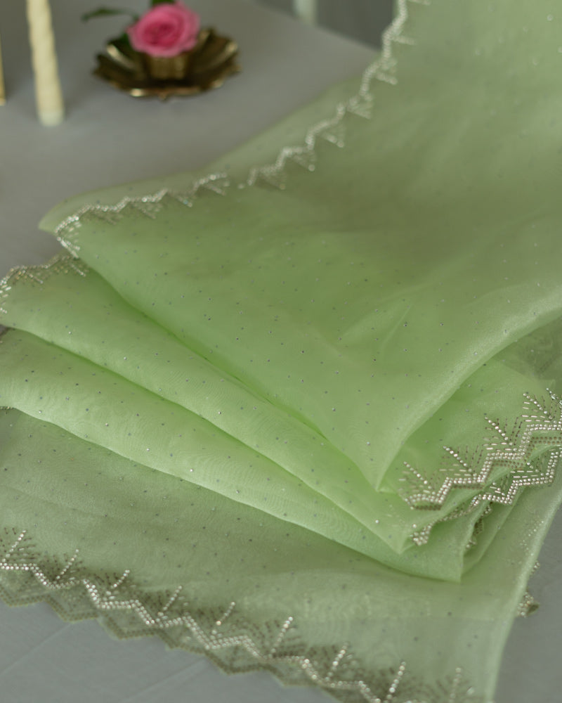 Pastel Olive Green Designer Tissue Organza Saree With Diamond Work And Fancy Cut Work Border