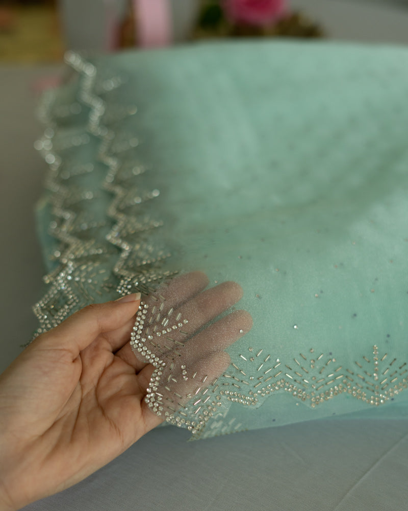 Pastel Teal Green Designer Tissue Organza Saree With Diamond Work And Fancy Cut Work Border