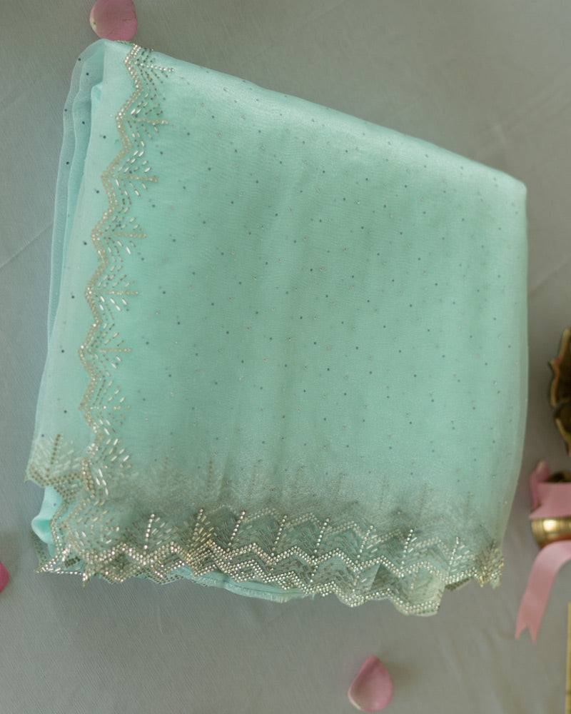 Pastel Teal Green Designer Tissue Organza Saree With Diamond Work And Fancy Cut Work Border