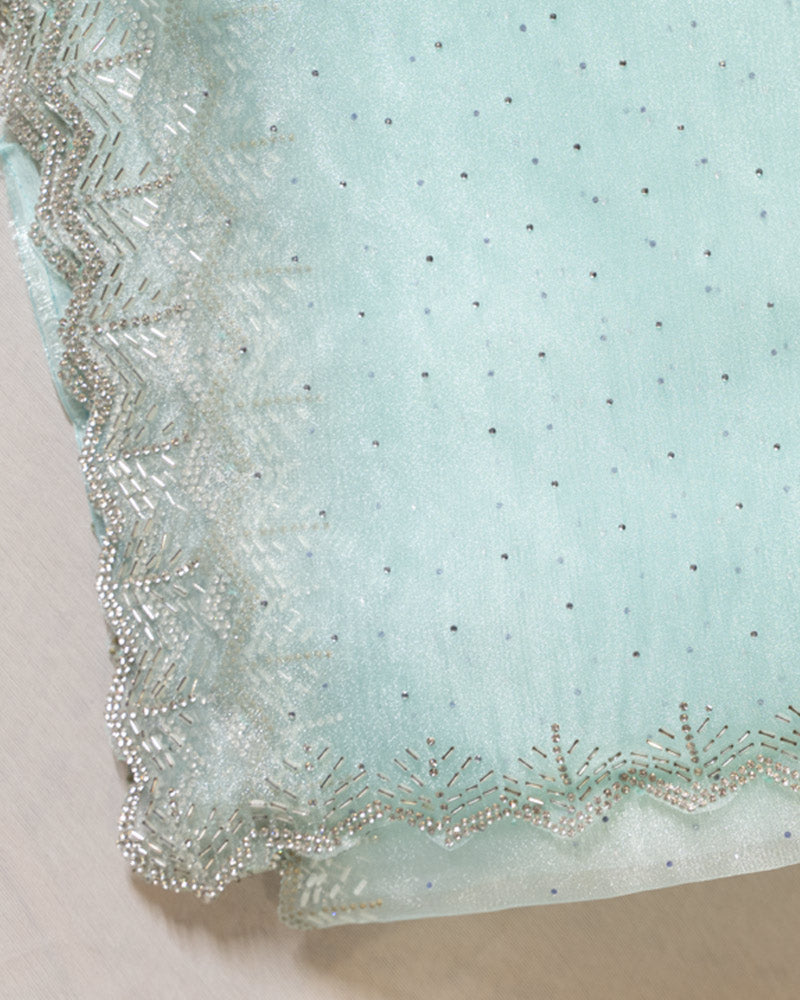 Pastel Teal Green Designer Tissue Organza Saree With Diamond Work And Fancy Cut Work Border
