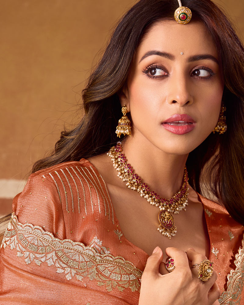 Light Chocolate Brown Designer Chiffon Saree With Zari-Embroidery-Diamond Work And Cut Work Fancy Border
