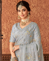 Vishal Prints Grey Designer Organza Saree With Embroidery Diamond Work And Core Piping