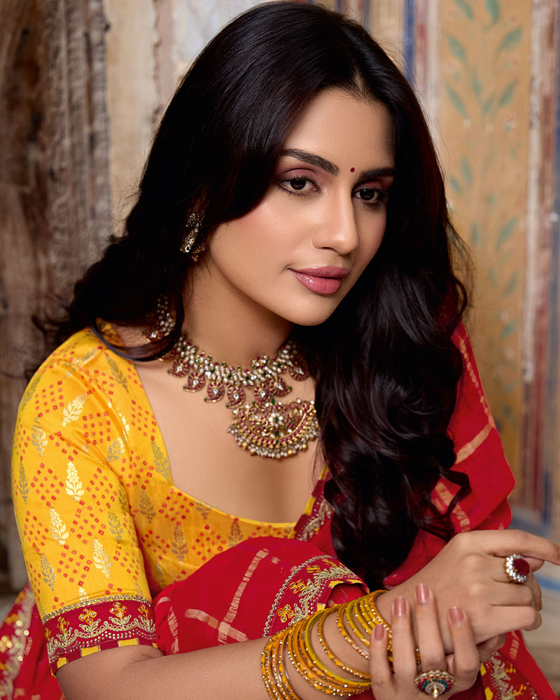 Vishal Prints Crimson Red Dyed Fancy Checks Chiffon Saree With Fancy Embroidery Border