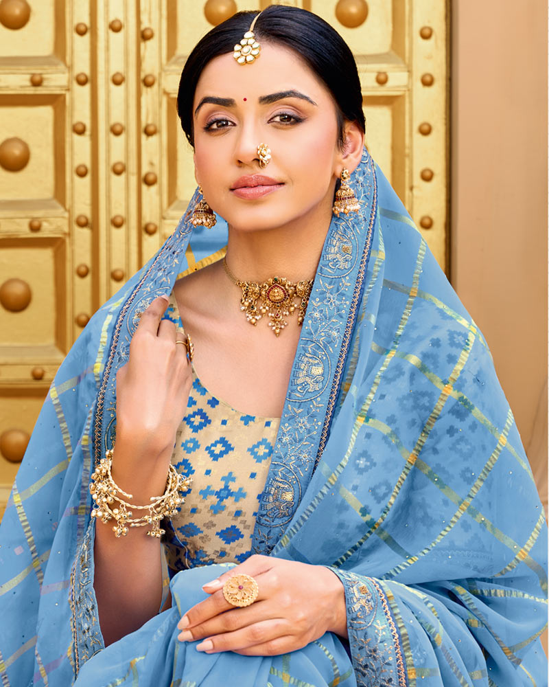 Vishal Prints Dark Pastel Blue Designer Fancy Checks Chiffon Saree With Diamond Work And Embroidery Border