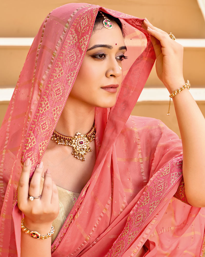 Vishal Prints Dark Coral Pink Designer Fancy Checks Chiffon Saree With Diamond Work And Embroidery Border